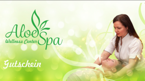 Wellness Massage  40 min