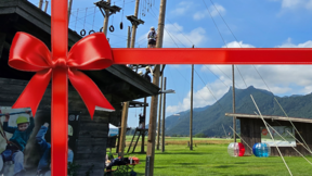 Saisonticket 2025 Hochseilgarten mit Bubble Kind / Jugend (bis 16 Jahre)