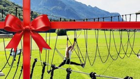 Eintritt Hochseilgarten Erwachsen