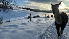 Lange Winterwundertour