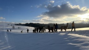 Große Glühweintour