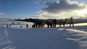 Lange Winterwundertour