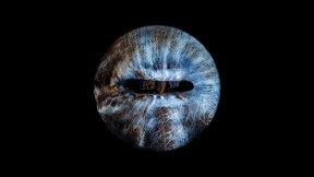 Iris Fotografie STUDIO - für 1 Pferdeauge