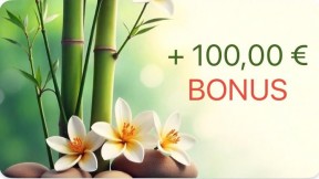 500,00 + 100,00 Bonus