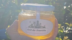 1 Glas Honig umsonst