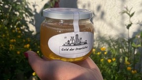 Vorteilskarte 27,50€ du sparst 10%