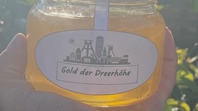 Vorteilskarte 22€ 10%sparen