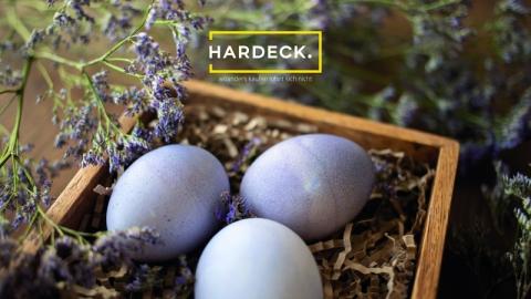 Hardeck Möbel GmbH & Co. KG Hardeck Gutschein