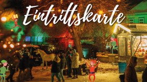 Advent im Gestüt 08.12.2024