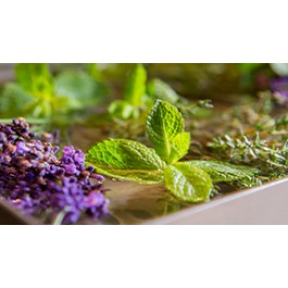 Haus Hopke Hopkes Vital Massage