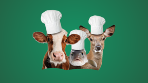 Chefs Table - Wald Wiese Wasser