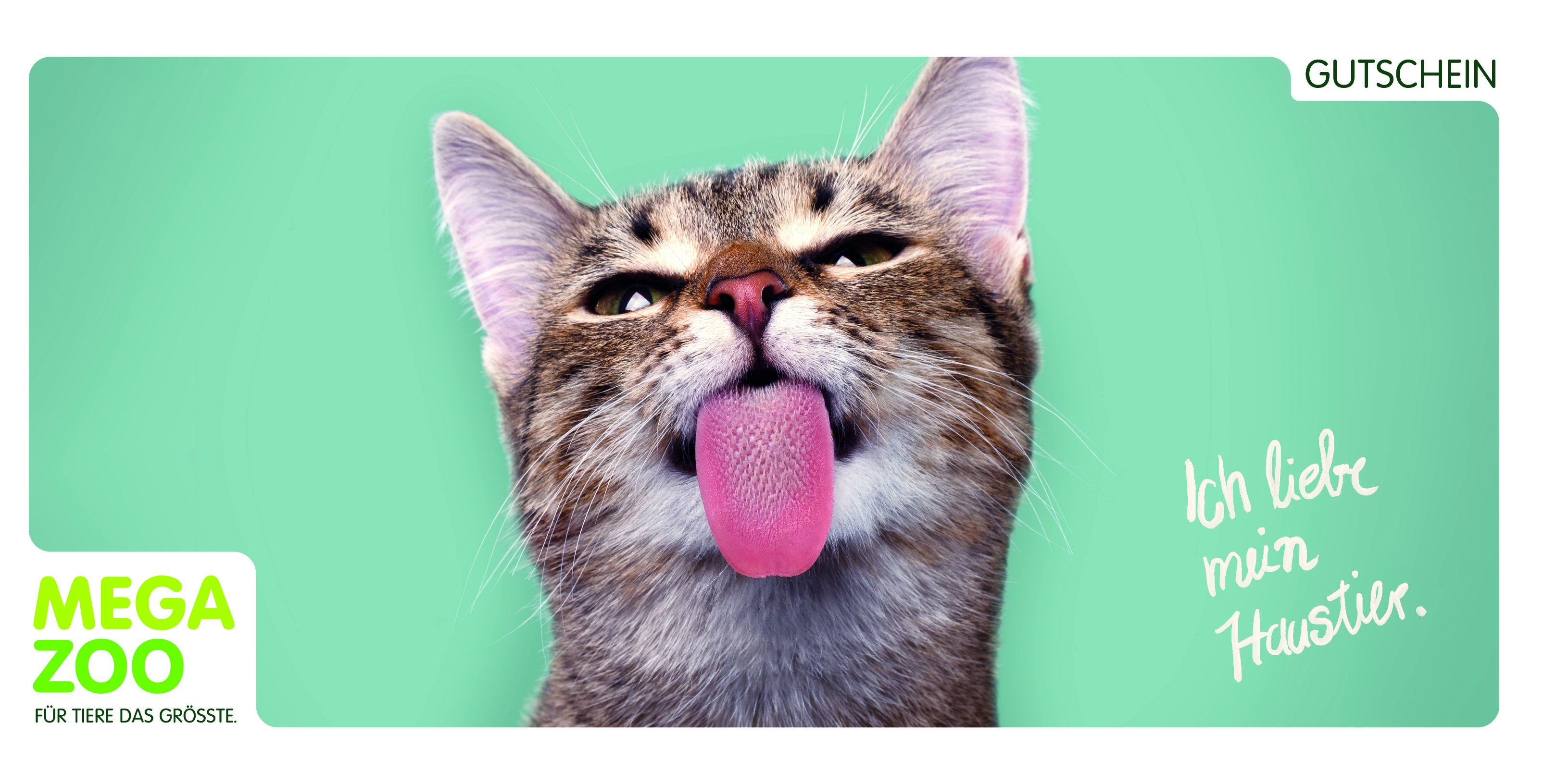 Megazoo Online Shop Katze