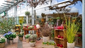 Blumen Krüger Gutschein