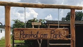 Gutschein 1,5h Pony Trekking