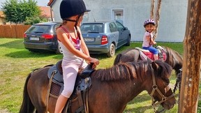 Gutschein 1,5h Pony Trekking