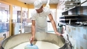 Käseproduktion am 06. Dezember 2025