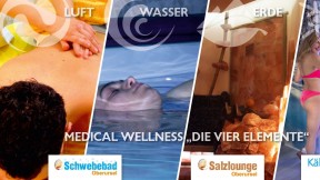 Die vier Elemente Single