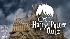 Harry Potter Quiz Vol. 2
