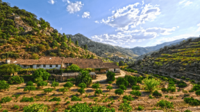 Douro Weinabend 23.11.2025 Weingut Quinta do Zimbro im Douro Tal in Portugal.